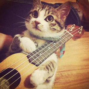 男欢女爱武则天免费观看电视剧
